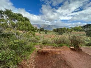 Rural Trail With Mountain View