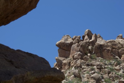 Desert Rock Formation Under Clear Sky