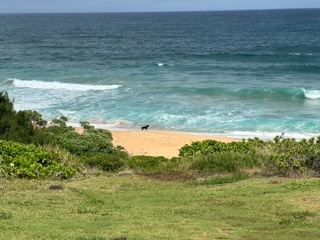 Coastal Beach Overlooking Ocean Waves