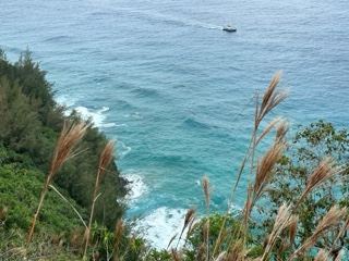 Coastal Ocean View From Cliff