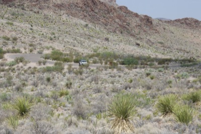 Desert landscape with yucca and truck
