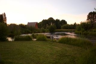 Sunset Pond and Grassy Field