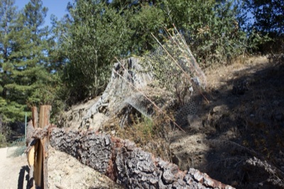 Erosion Control on Sunny Hillside