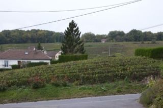Rural terraced fields under overcast sky