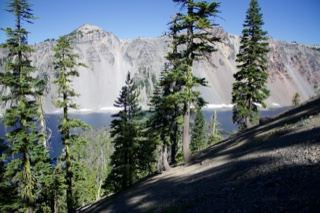 Mountain Lake with Pine Trees