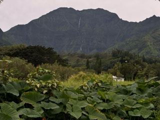Lush Mountain Valley with Waterfall