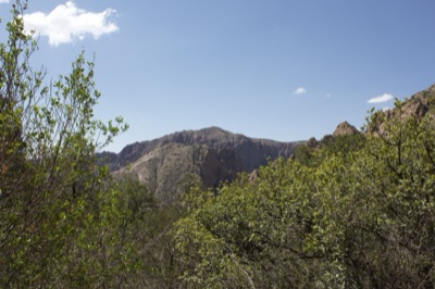 Mountain Valley Through Green Foliage