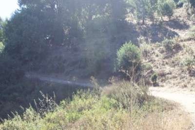 Sunlit Dirt Trail on Hillside