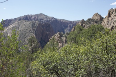Rugged Mountains with Green Foliage