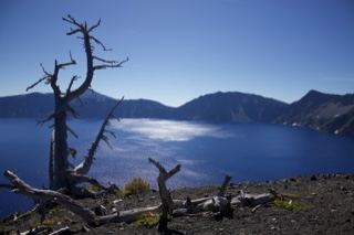Dead Tree Overlooking Blue Crater Lake