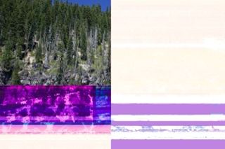 Forested hillside with digital glitch