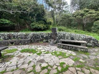 Stone Seating Area in Forest Clearing