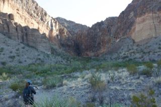 Desert Canyon with Hiker in Foreground