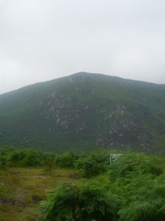 Overcast Mountain with Green Foliage