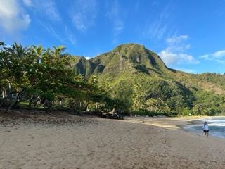 Tropical Beach With Lush Mountain
