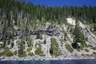 Forested Cliff Over Lake Shore