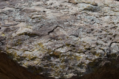 Weathered Rock Surface with Lichen