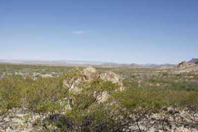 Arid Desert Landscape with Shrubs