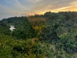 Lush Forest Valley at Sunset