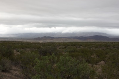 Desert landscape under overcast sky