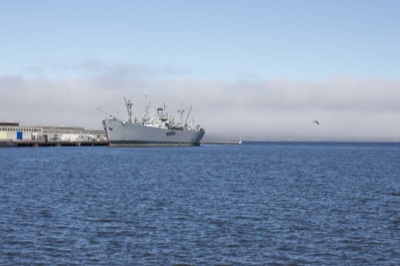 Naval Ship Moored at Harbor