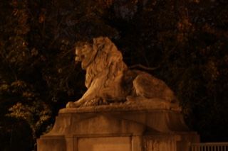 Lion Statue Illuminated at Night