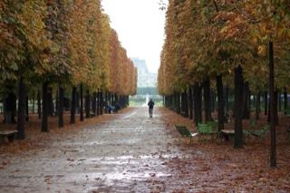 Autumn Tree-Lined Park Avenue