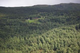 Forested Hillside With Clearing Below