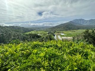 Lush Valley Overlooking Mountains